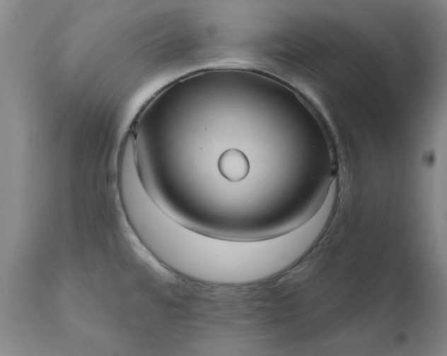 X0000110681480200906261309