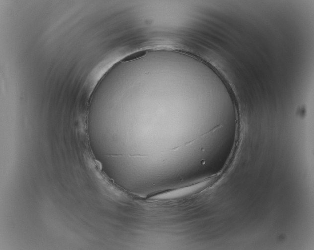 X0000110681481200906261309