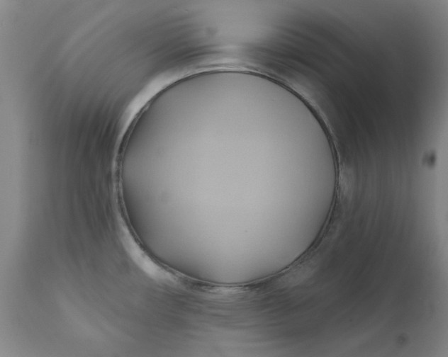 X0000110681482200906261309