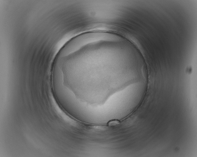 X0000110681483200906261309