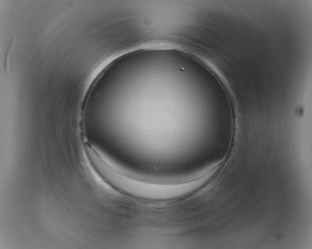 X0000110681484200906261309