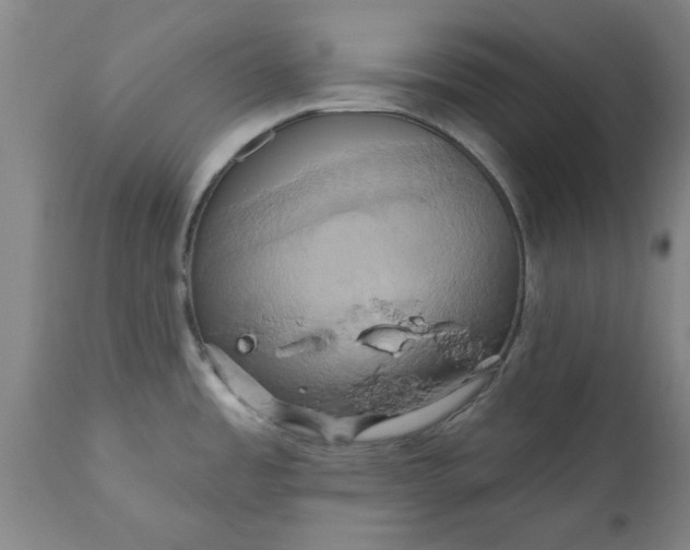 X0000110681485200906261309