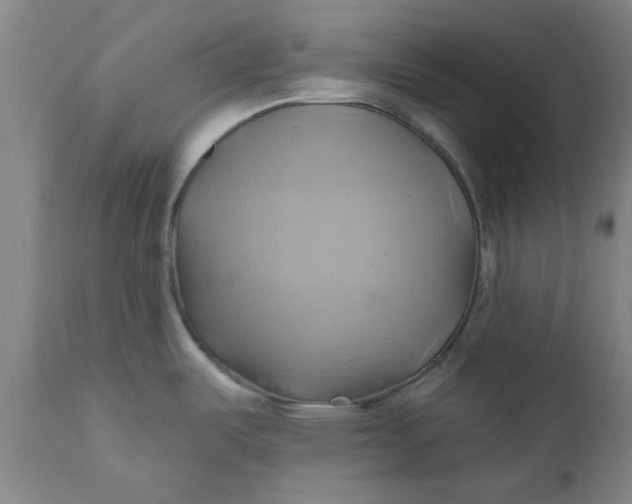 X0000110681487200906261309