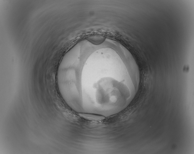 X0000110681489200906261308