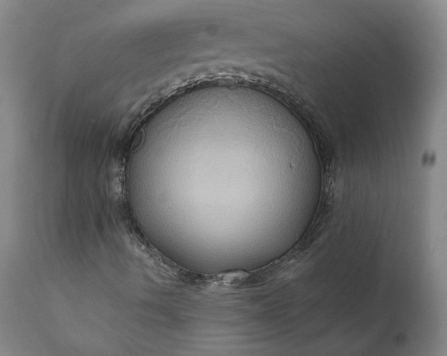 X0000110681490200906261308