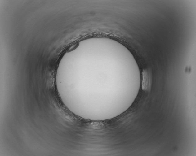 X0000110681491200906261308