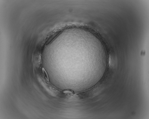 X0000110681492200906261308