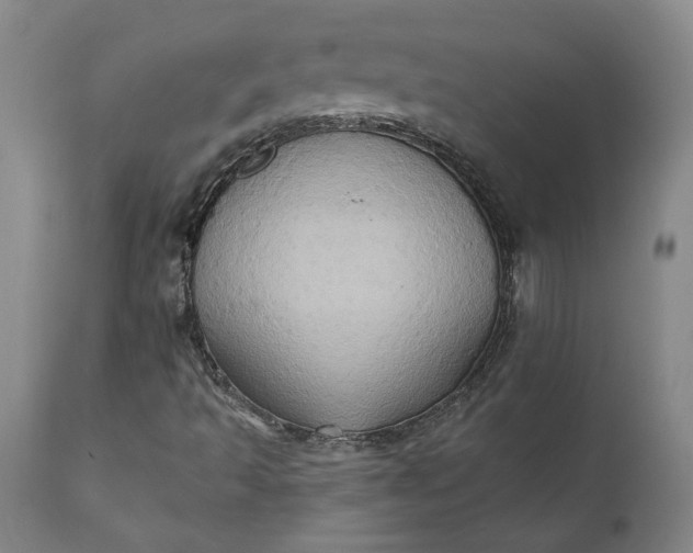 X0000110681493200906261308