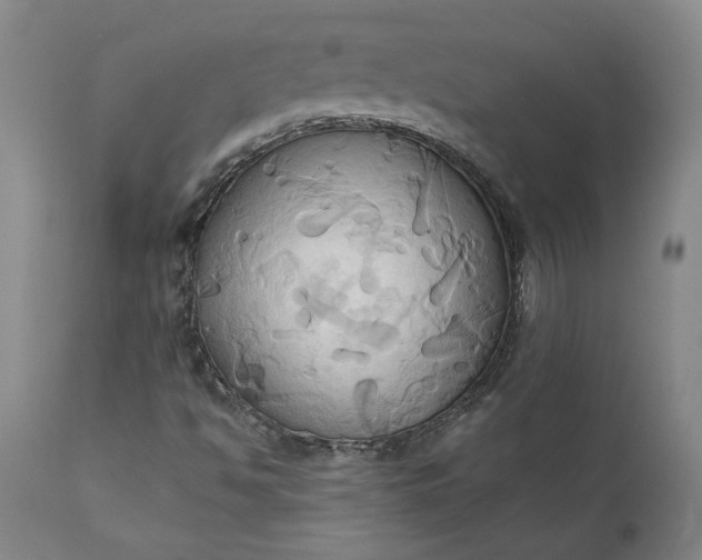 X0000110681494200906261308