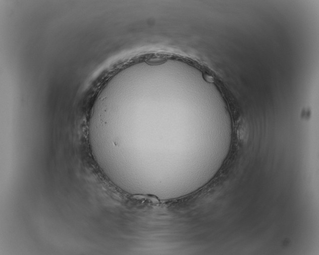 X0000110681495200906261308