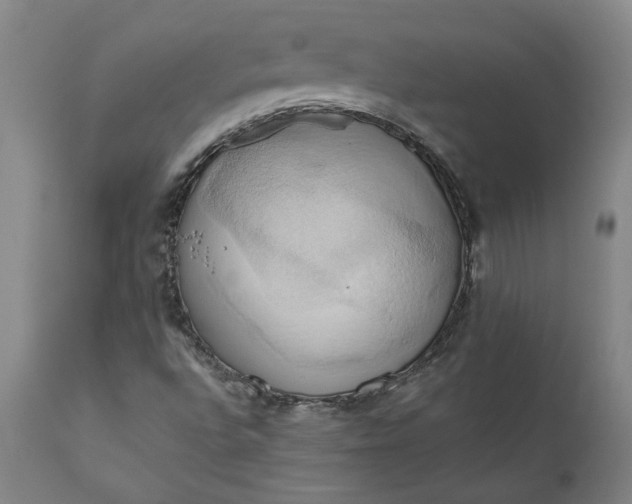 X0000110681496200906261308