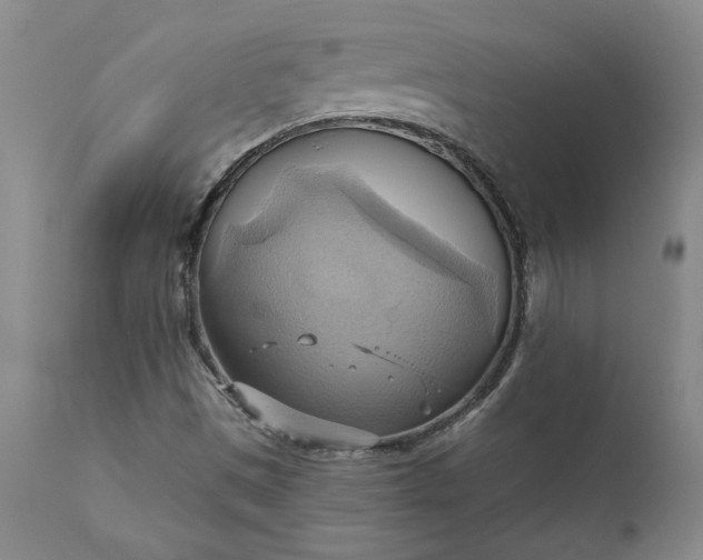 X0000110681497200906261308