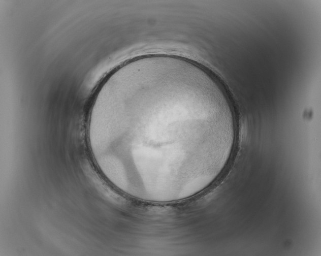 X0000110681498200906261308