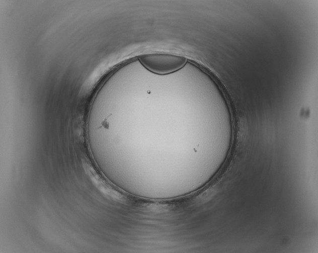 X0000110681499200906261308