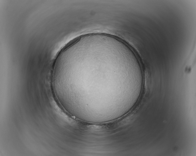 X0000110681500200906261308