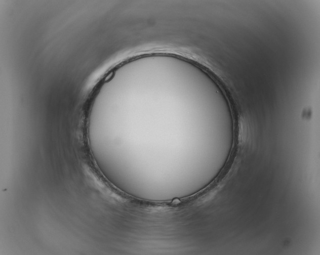 X0000110681502200906261308