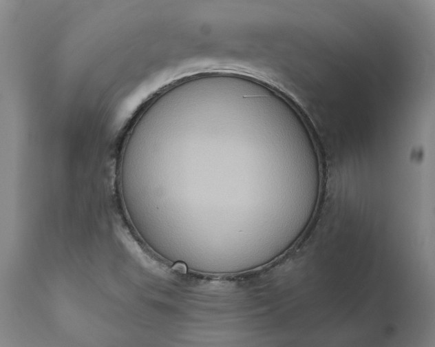 X0000110681503200906261308