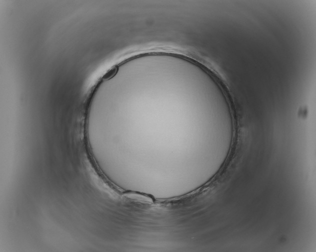 X0000110681504200906261308