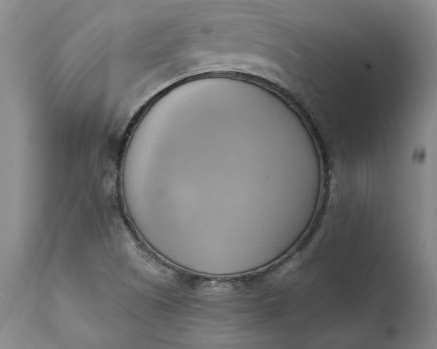 X0000110681505200906261308