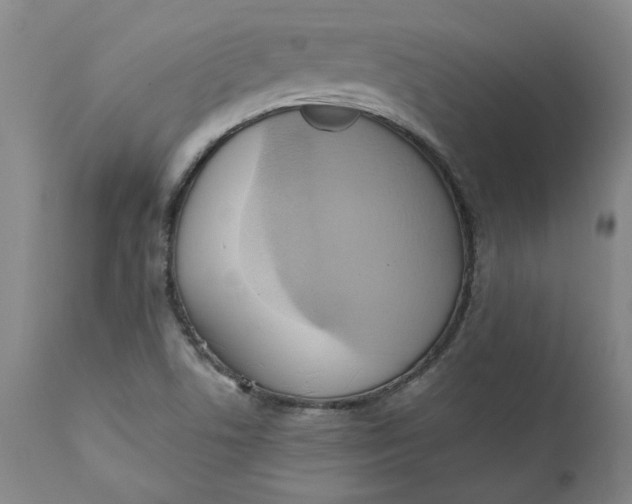 X0000110681506200906261308