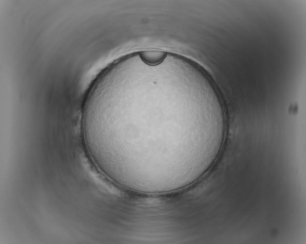 X0000110681507200906261308