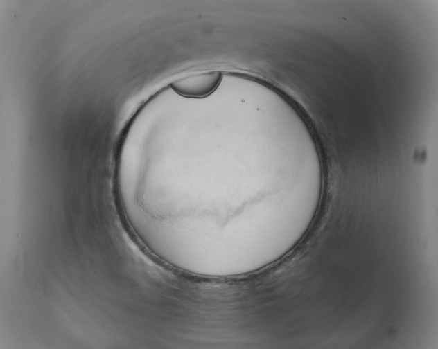 X0000110681508200906261308