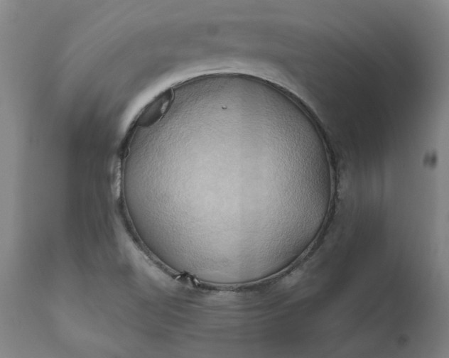 X0000110681510200906261308