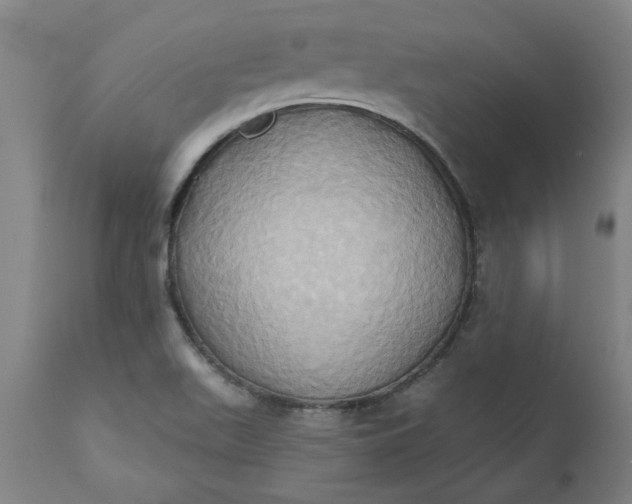 X0000110681511200906261308