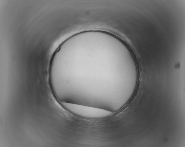 X0000110681512200906261308