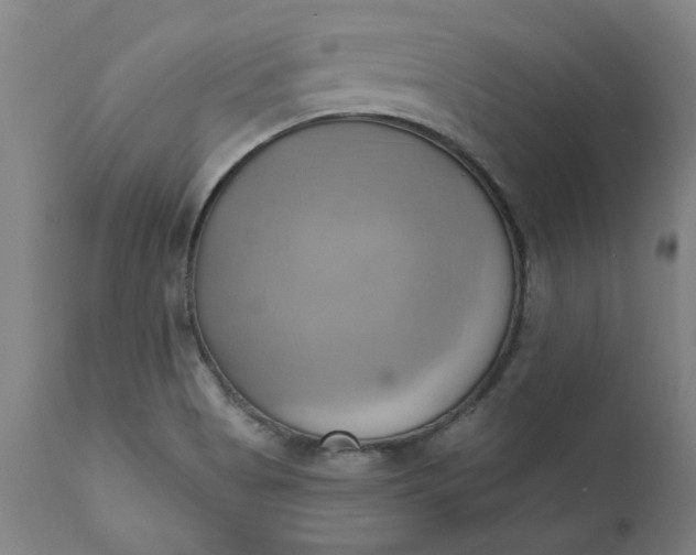 X0000110681513200906261308