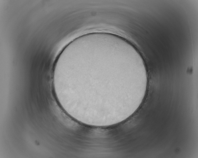 X0000110681514200906261308