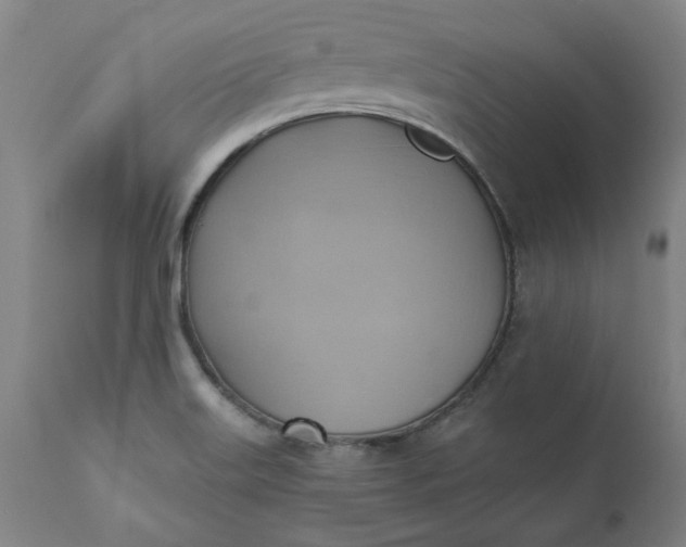 X0000110681515200906261308