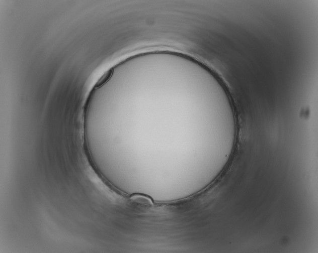 X0000110681516200906261308