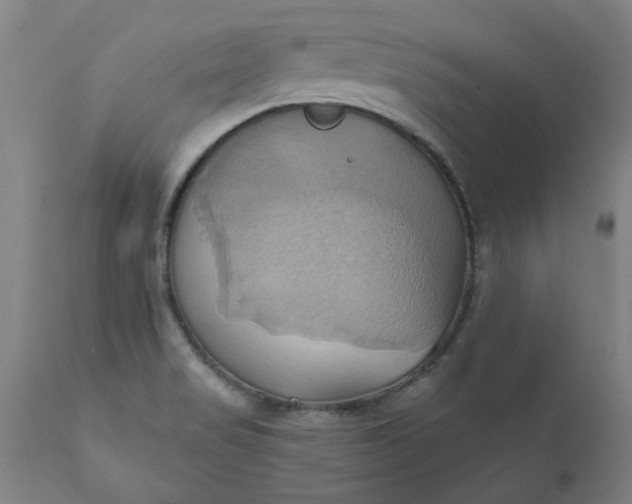 X0000110681517200906261308