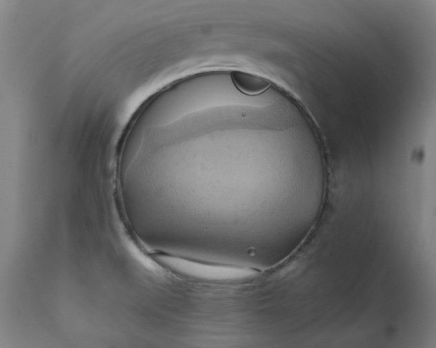 X0000110681519200906261308