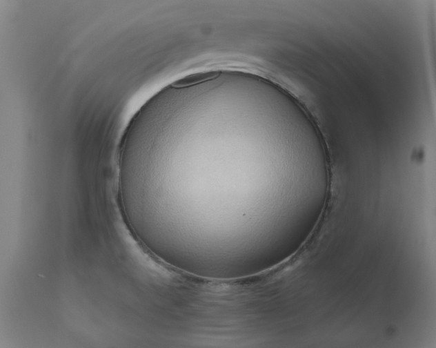 X0000110681520200906261308