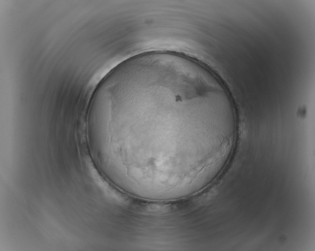 X0000110681521200906261308