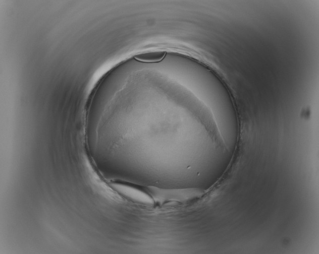 X0000110681522200906261308