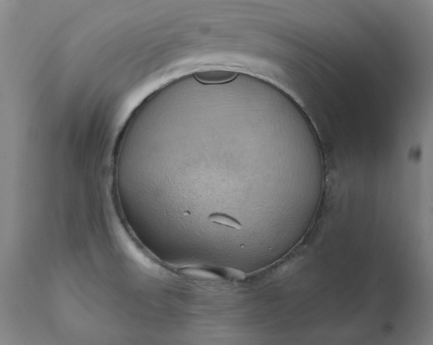 X0000110681523200906261308