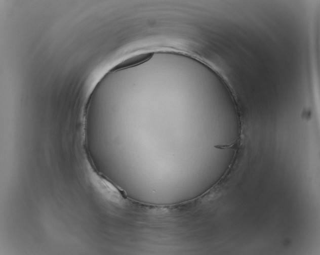 X0000110681524200906261308