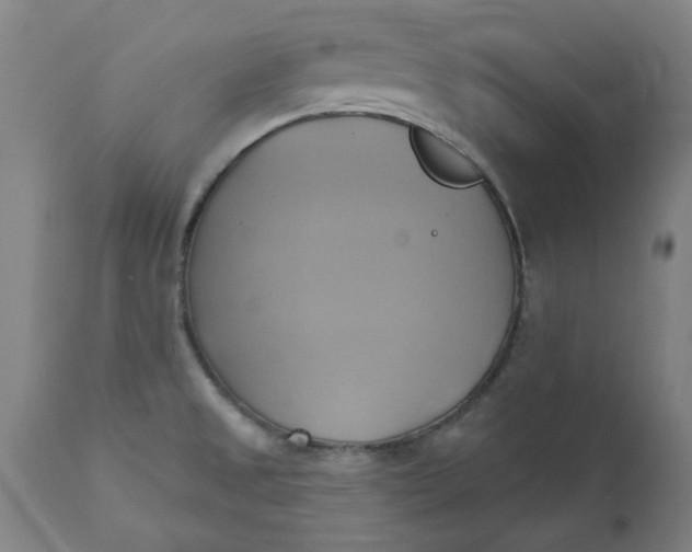 X0000110681525200906261308