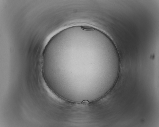 X0000110681526200906261308