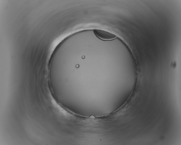 X0000110681527200906261308