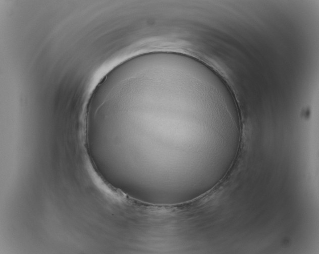 X0000110681528200906261308