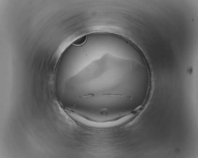 X0000110681529200906261308