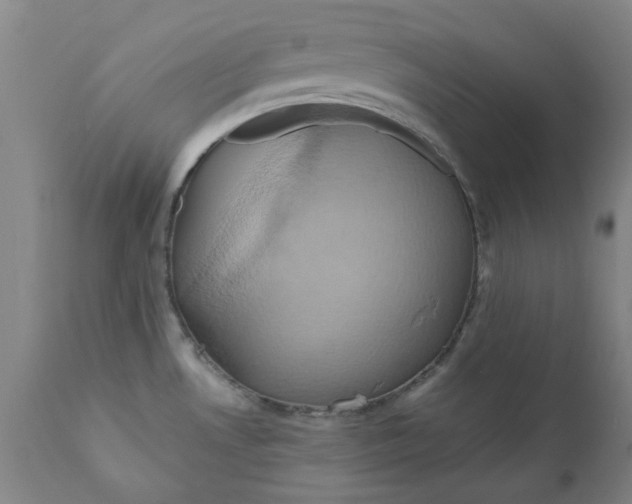 X0000110681530200906261308