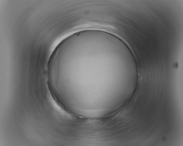 X0000110681531200906261308