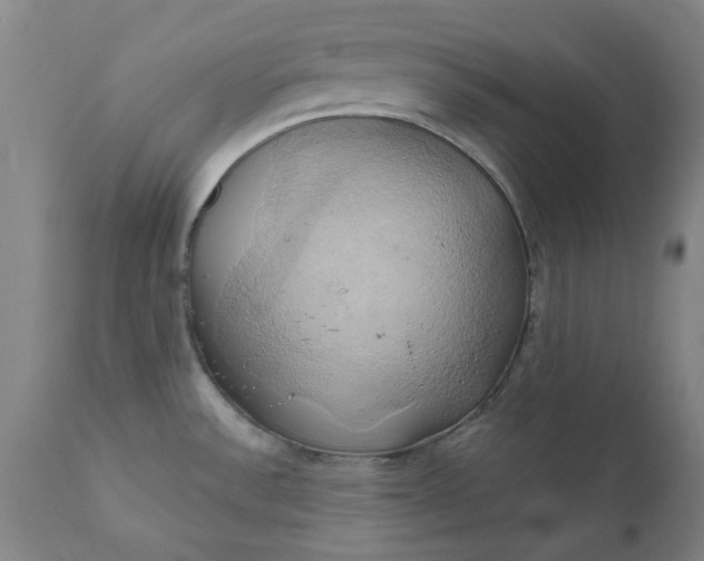 X0000110681532200906261308