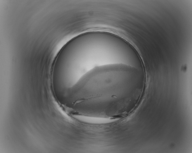 X0000110681533200906261308