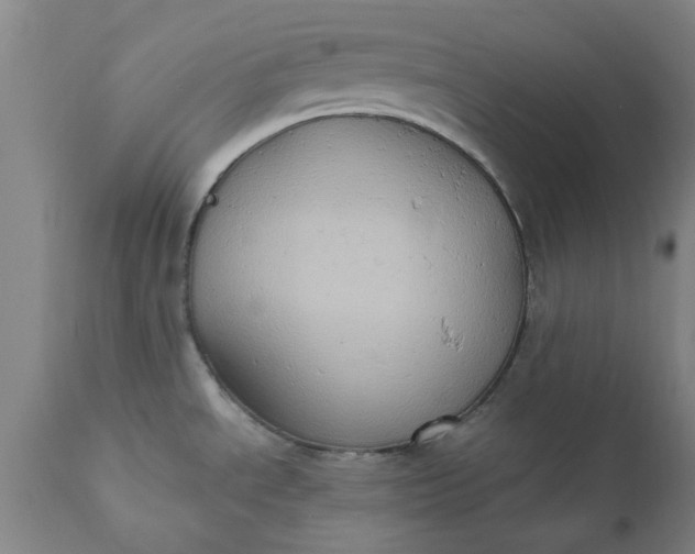 X0000110681534200906261308